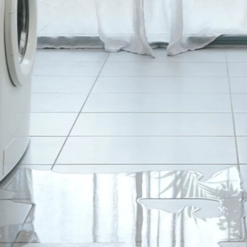 Appliance Leak Cleanup in Wilton, CA