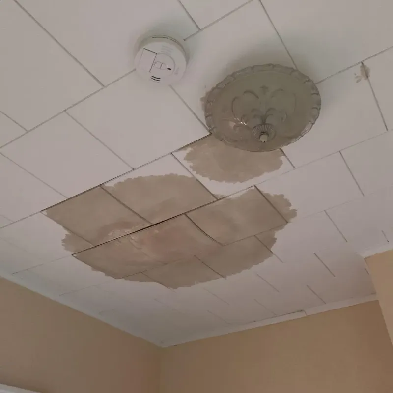 Ceiling Water Damage Repair in Wilton, CA